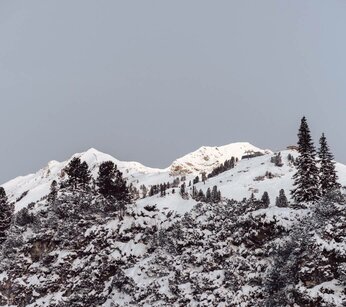 Mountain Refugium, 4****S Hotel Obertauern, Salzburg